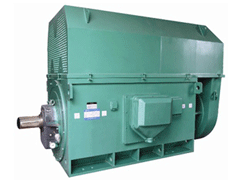 丹寨Y系列6KV高压电机